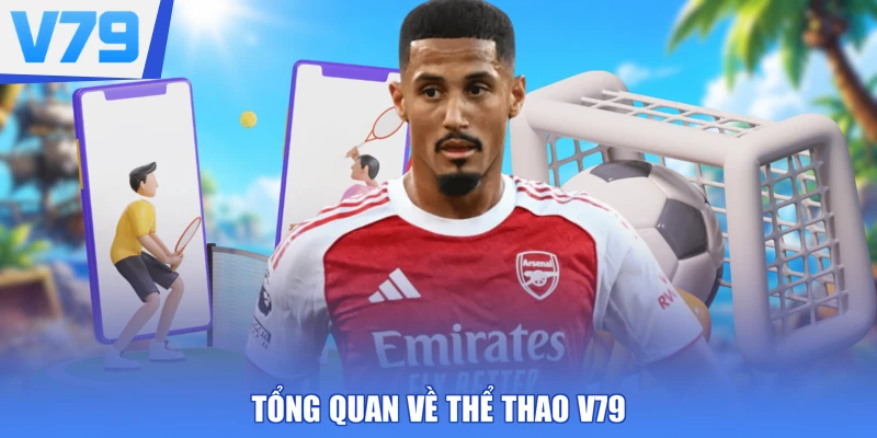 Tổng quan về thể thao V79